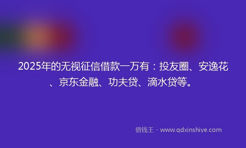 2025年的无视征信借款一万有：投友圈、安逸花、京东金融、功夫贷、滴水贷等。