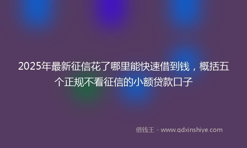 2025年最新征信花了哪里能快速借到钱，概括五个正规不看征信的小额贷款口子