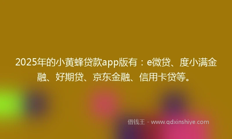2025年的小黄蜂贷款app版有：e微贷、度小满金融、好期贷、京东金融、信用卡贷等。