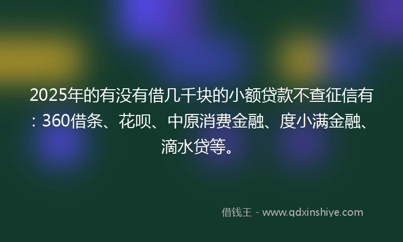 2025年的有没有借几千块的小额贷款不查征信有：360借条、花呗、中原消费金融、度小满金融、滴水贷等。