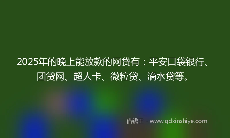 2025年的晚上能放款的网贷有：平安口袋银行、团贷网、超人卡、微粒贷、滴水贷等。
