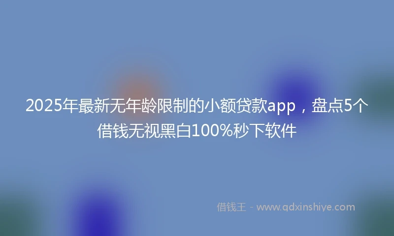 2025年最新无年龄限制的小额贷款app，盘点5个借钱无视黑白100%秒下软件