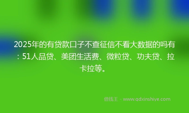 2025年的有贷款口子不查征信不看大数据的吗有：51人品贷、美团生活费、微粒贷、功夫贷、拉卡拉等。