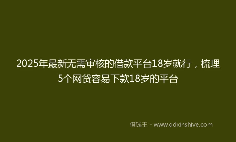 2025年最新无需审核的借款平台18岁就行，梳理5个网贷容易下款18岁的平台