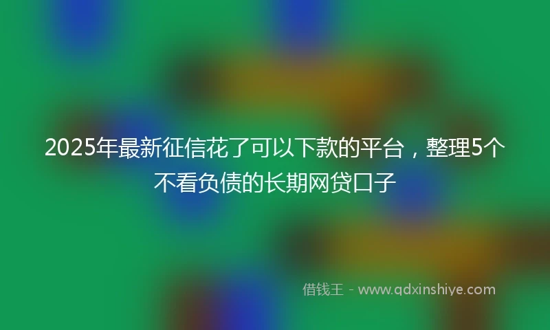 2025年最新征信花了可以下款的平台，整理5个不看负债的长期网贷口子