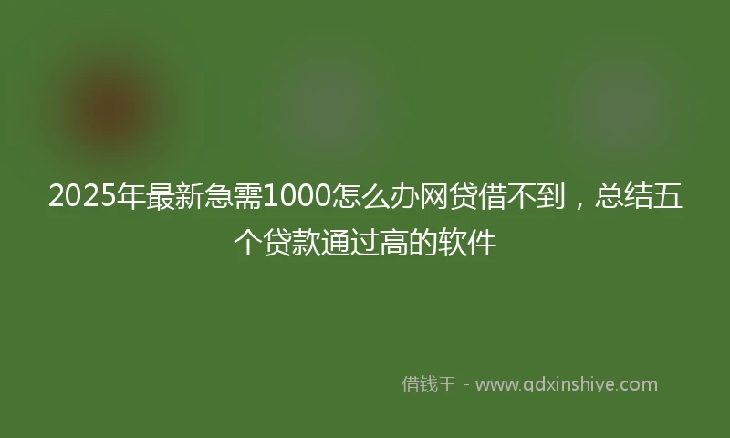 2025年最新急需1000怎么办网贷借不到，总结五个贷款通过高的软件