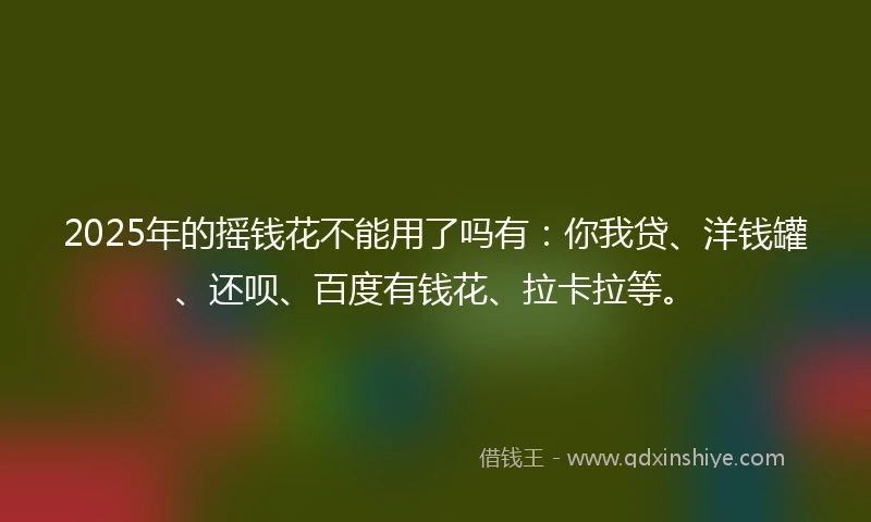 2025年的摇钱花不能用了吗有：你我贷、洋钱罐、还呗、百度有钱花、拉卡拉等。
