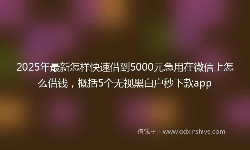 2025年最新怎样快速借到5000元急用在微信上怎么借钱，概括5个无视黑白户秒下款app