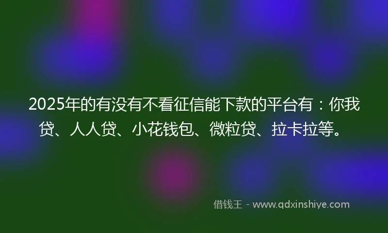 2025年的有没有不看征信能下款的平台有：你我贷、人人贷、小花钱包、微粒贷、拉卡拉等。