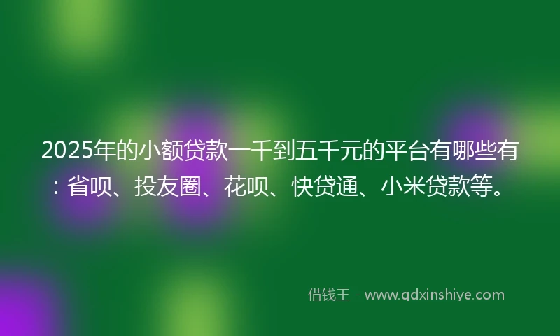 2025年的小额贷款一千到五千元的平台有哪些有：省呗、投友圈、花呗、快贷通、小米贷款等。