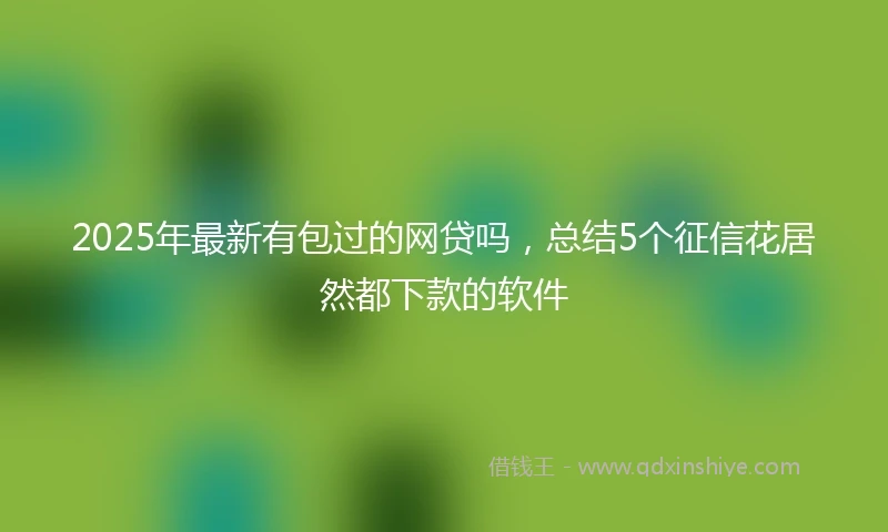 2025年最新有包过的网贷吗，总结5个征信花居然都下款的软件
