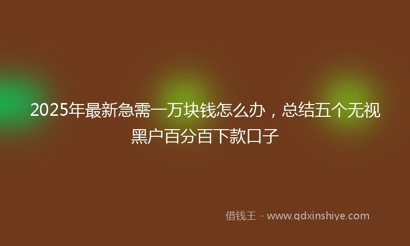 2025年最新急需一万块钱怎么办，总结五个无视黑户百分百下款口子