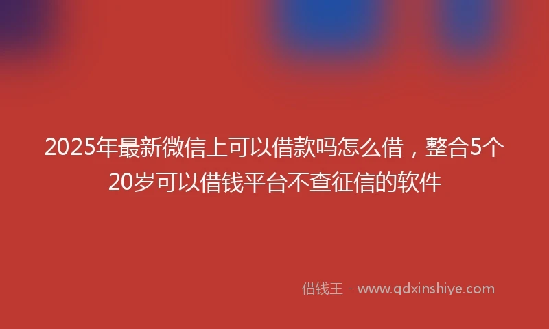 2025年最新微信上可以借款吗怎么借，整合5个20岁可以借钱平台不查征信的软件