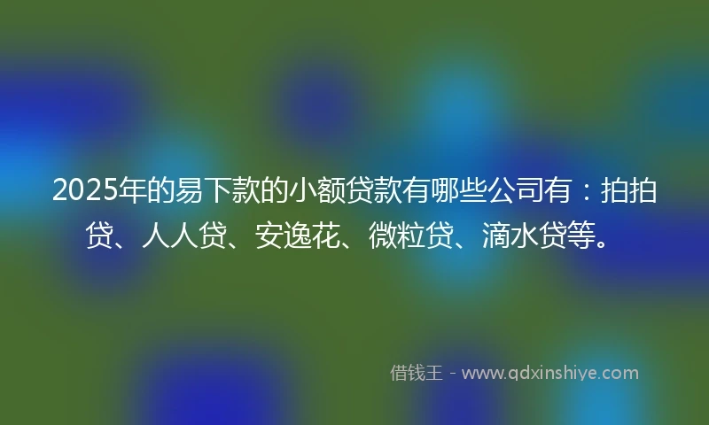 2025年的易下款的小额贷款有哪些公司有：拍拍贷、人人贷、安逸花、微粒贷、滴水贷等。