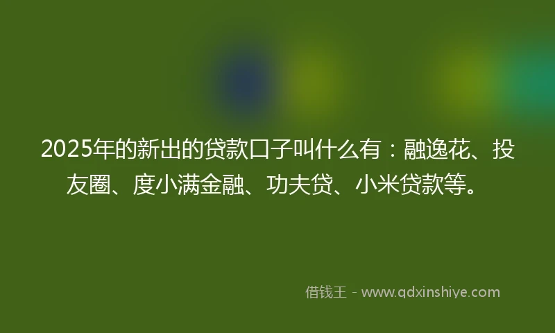 2025年的新出的贷款口子叫什么有：融逸花、投友圈、度小满金融、功夫贷、小米贷款等。