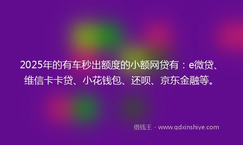 2025年的有车秒出额度的小额网贷有：e微贷、维信卡卡贷、小花钱包、还呗、京东金融等。