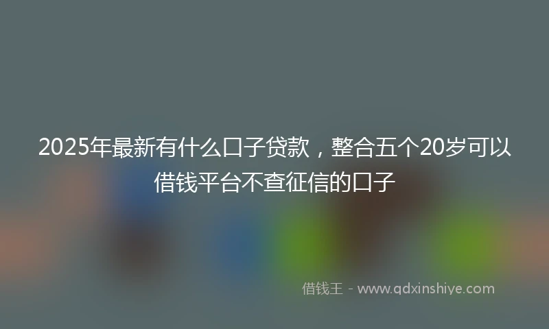 2025年最新有什么口子贷款，整合五个20岁可以借钱平台不查征信的口子