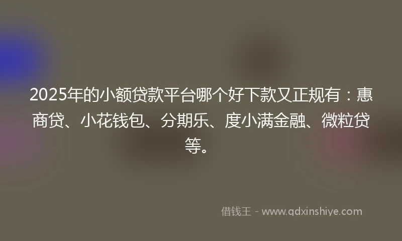2025年的小额贷款平台哪个好下款又正规有：惠商贷、小花钱包、分期乐、度小满金融、微粒贷等。