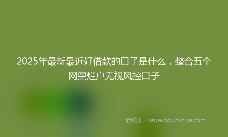 2025年最新最近好借款的口子是什么，整合五个网黑烂户无视风控口子