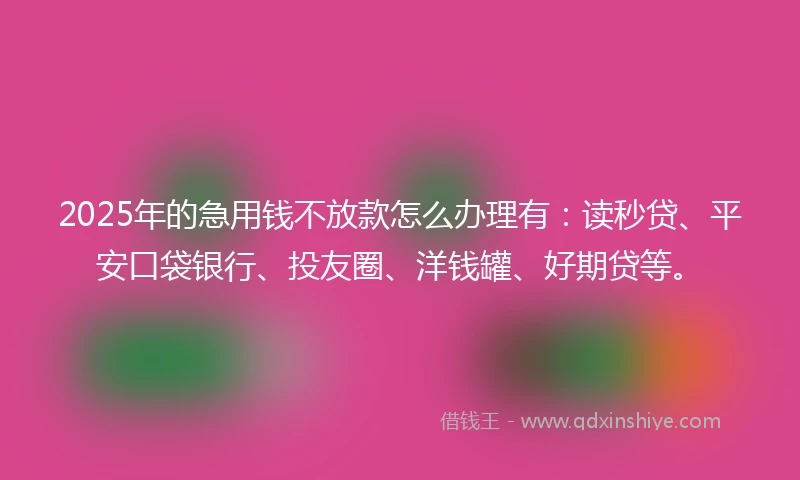 2025年的急用钱不放款怎么办理有：读秒贷、平安口袋银行、投友圈、洋钱罐、好期贷等。