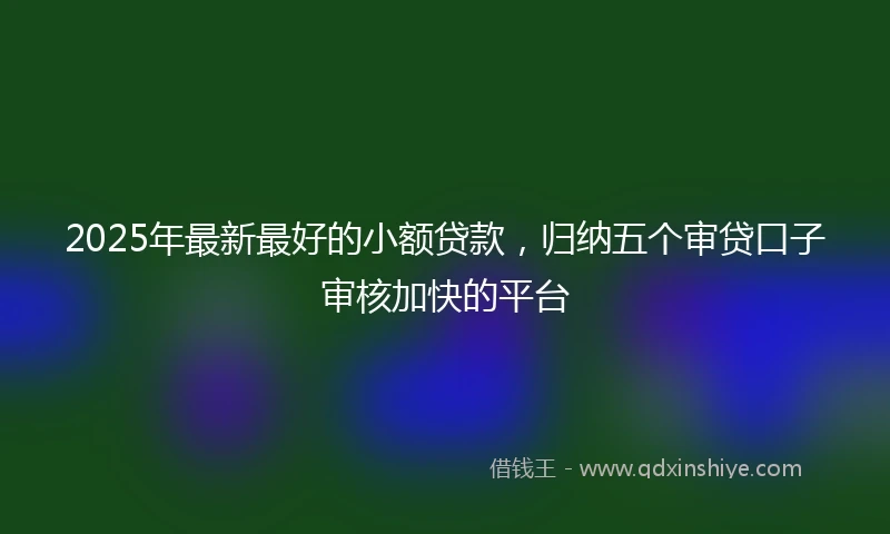 2025年最新最好的小额贷款，归纳五个审贷口子审核加快的平台
