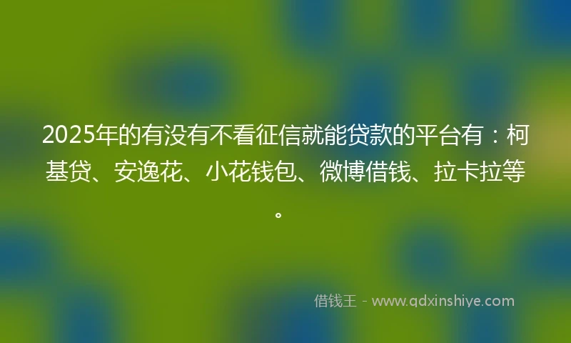 2025年的有没有不看征信就能贷款的平台有：柯基贷、安逸花、小花钱包、微博借钱、拉卡拉等。
