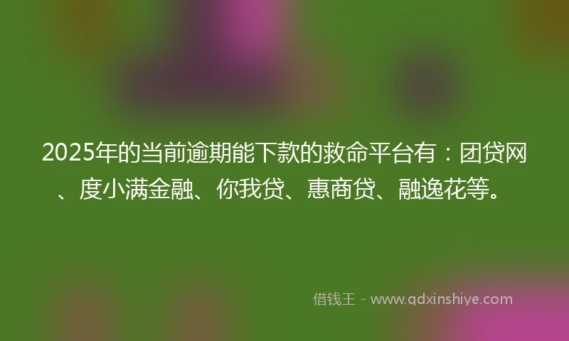 2025年的当前逾期能下款的救命平台有：团贷网、度小满金融、你我贷、惠商贷、融逸花等。