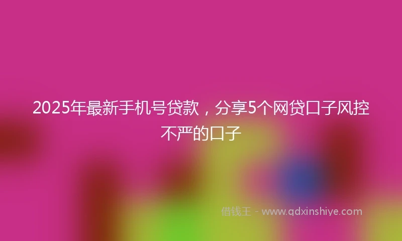 2025年最新手机号贷款，分享5个网贷口子风控不严的口子