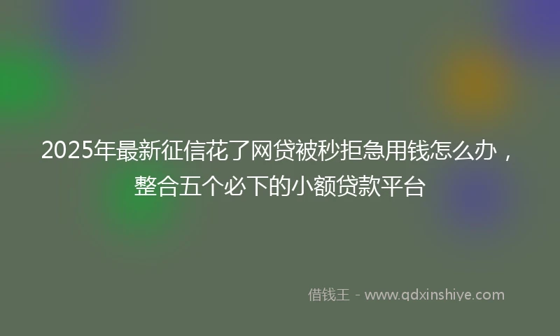 2025年最新征信花了网贷被秒拒急用钱怎么办，整合五个必下的小额贷款平台