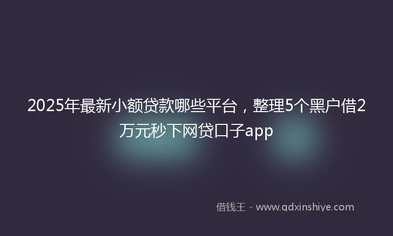 2025年最新小额贷款哪些平台，整理5个黑户借2万元秒下网贷口子app