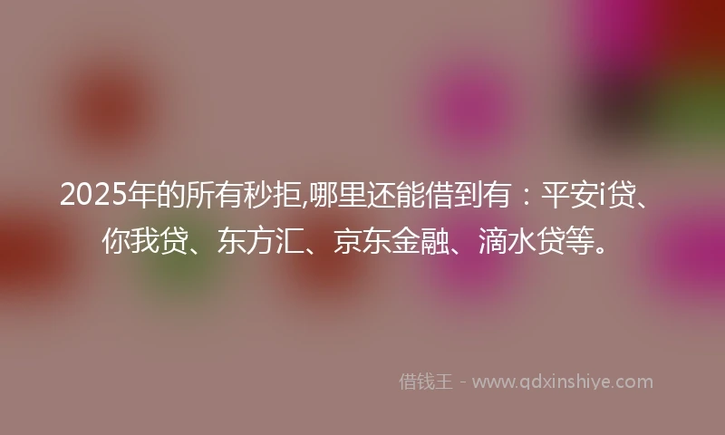 2025年的所有秒拒,哪里还能借到有：平安i贷、你我贷、东方汇、京东金融、滴水贷等。