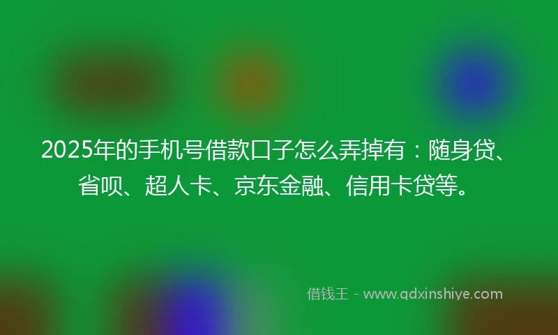 2025年的手机号借款口子怎么弄掉有：随身贷、省呗、超人卡、京东金融、信用卡贷等。