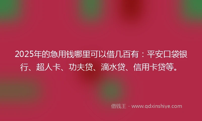 2025年的急用钱哪里可以借几百有：平安口袋银行、超人卡、功夫贷、滴水贷、信用卡贷等。