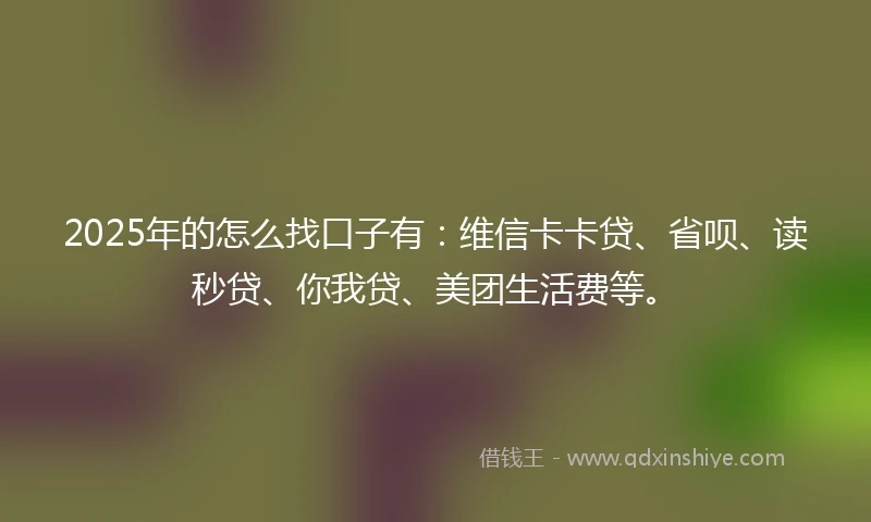 2025年的怎么找口子有：维信卡卡贷、省呗、读秒贷、你我贷、美团生活费等。