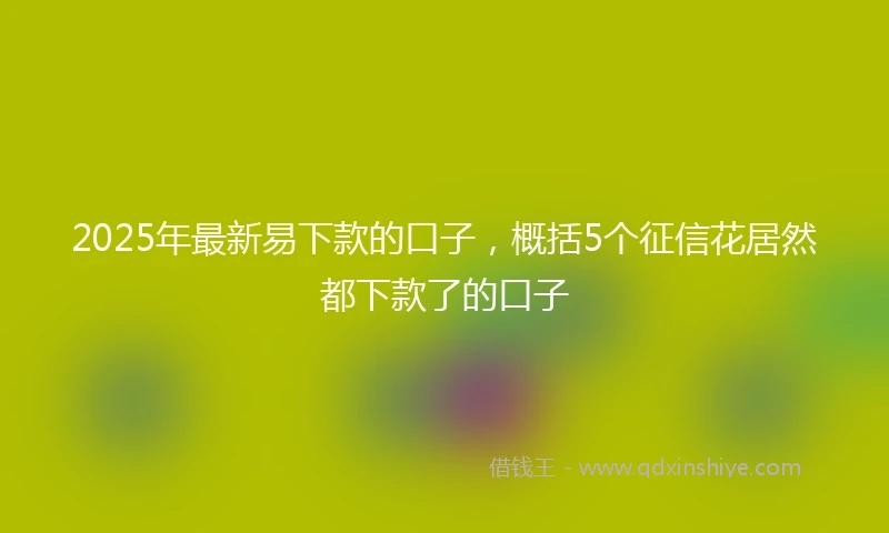 2025年最新易下款的口子，概括5个征信花居然都下款了的口子