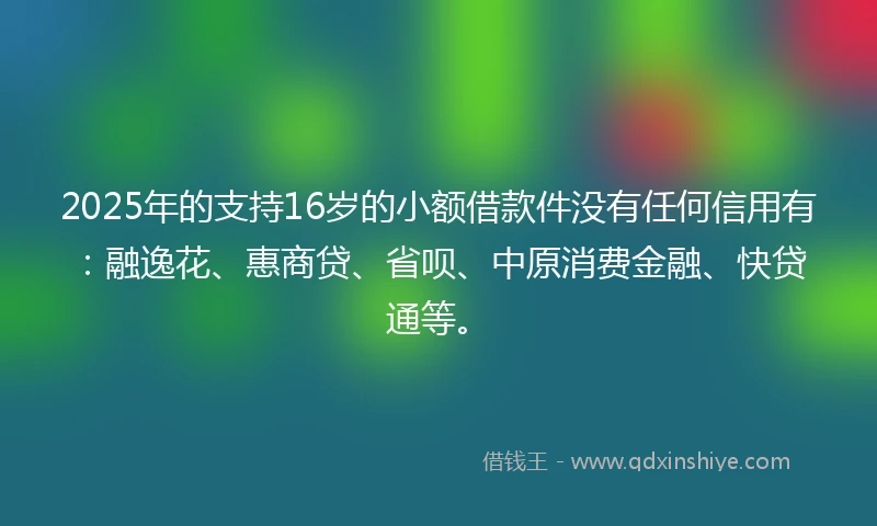 2025年的支持16岁的小额借款件没有任何信用有：融逸花、惠商贷、省呗、中原消费金融、快贷通等。