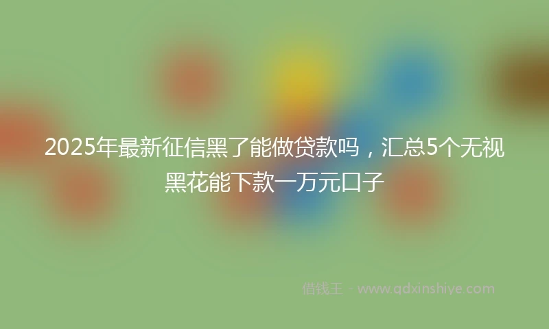 2025年最新征信黑了能做贷款吗，汇总5个无视黑花能下款一万元口子