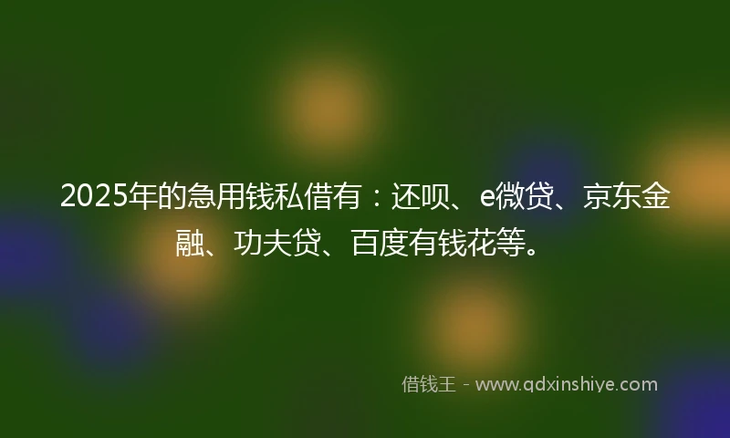 2025年的急用钱私借有：还呗、e微贷、京东金融、功夫贷、百度有钱花等。