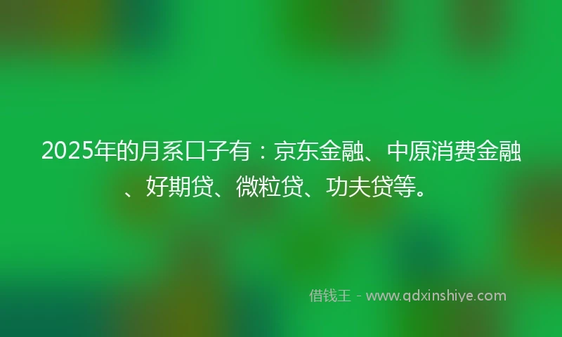 2025年的月系口子有：京东金融、中原消费金融、好期贷、微粒贷、功夫贷等。