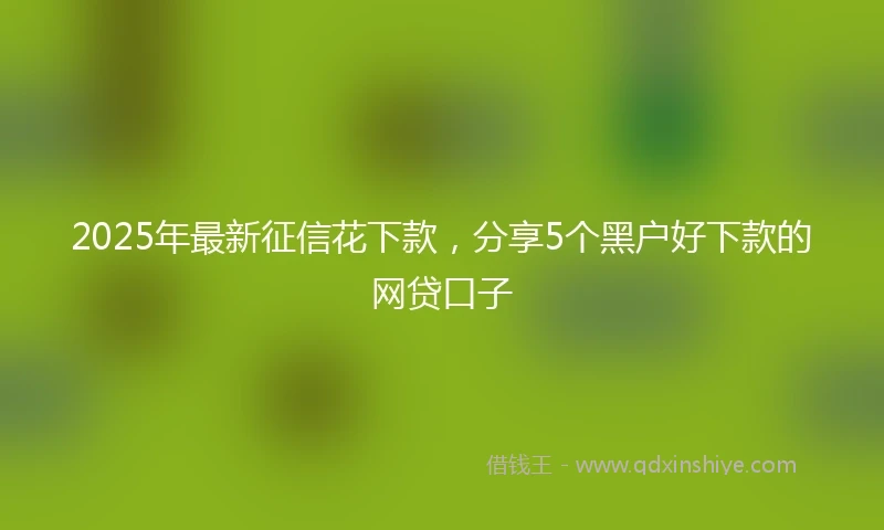 2025年最新征信花下款，分享5个黑户好下款的网贷口子