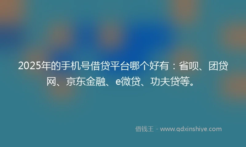 2025年的手机号借贷平台哪个好有：省呗、团贷网、京东金融、e微贷、功夫贷等。