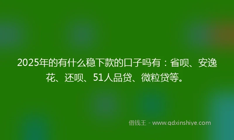 2025年的有什么稳下款的口子吗有：省呗、安逸花、还呗、51人品贷、微粒贷等。