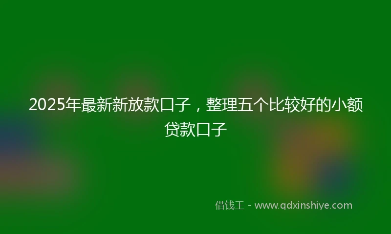 2025年最新新放款口子，整理五个比较好的小额贷款口子