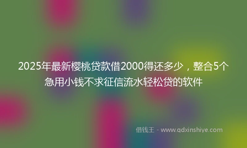 2025年最新樱桃贷款借2000得还多少，整合5个急用小钱不求征信流水轻松贷的软件