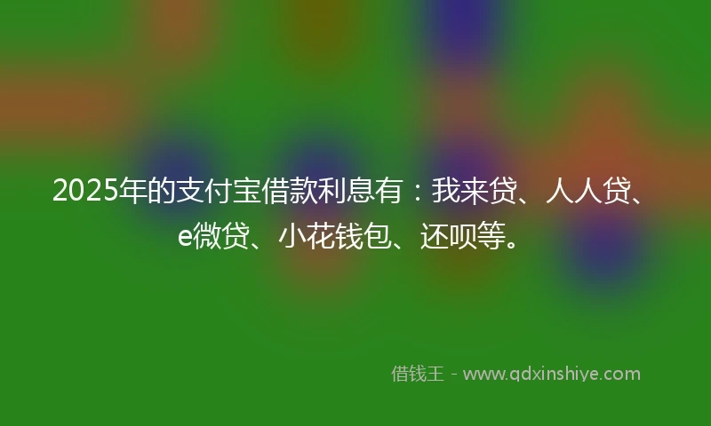 2025年的支付宝借款利息有：我来贷、人人贷、e微贷、小花钱包、还呗等。