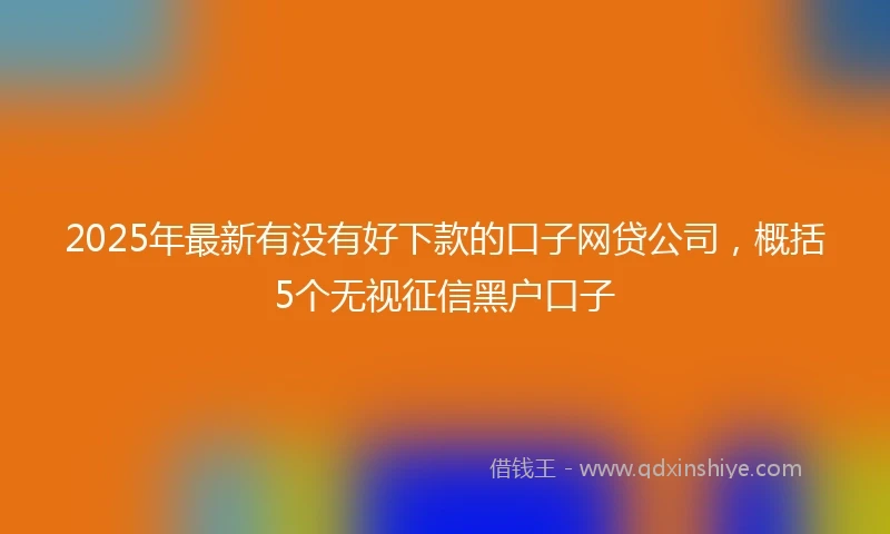 2025年最新有没有好下款的口子网贷公司，概括5个无视征信黑户口子