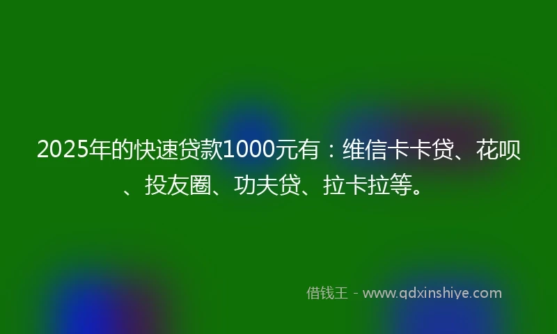 2025年的快速贷款1000元有：维信卡卡贷、花呗、投友圈、功夫贷、拉卡拉等。