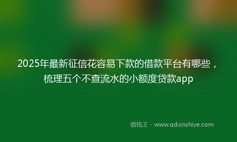 2025年最新征信花容易下款的借款平台有哪些，梳理五个不查流水的小额度贷款app