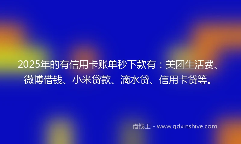 2025年的有信用卡账单秒下款有：美团生活费、微博借钱、小米贷款、滴水贷、信用卡贷等。