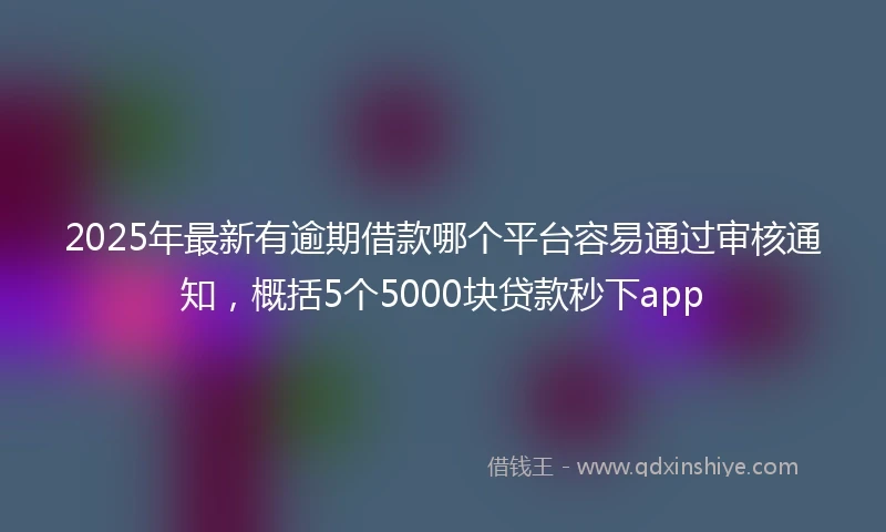 2025年最新有逾期借款哪个平台容易通过审核通知，概括5个5000块贷款秒下app